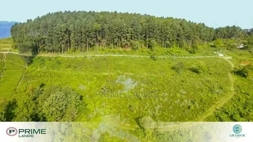 Tea Estate Land for Sale Nuwaraeliya