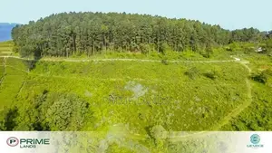 Tea Estate Land for Sale Nuwaraeliya