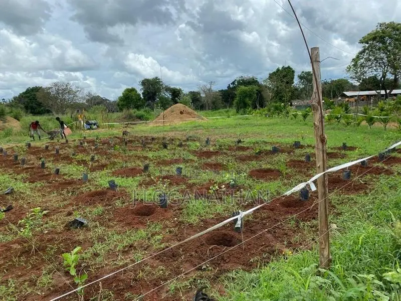 Land For Sale In Vavuniya