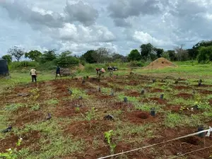 Land For Sale In Vavuniya