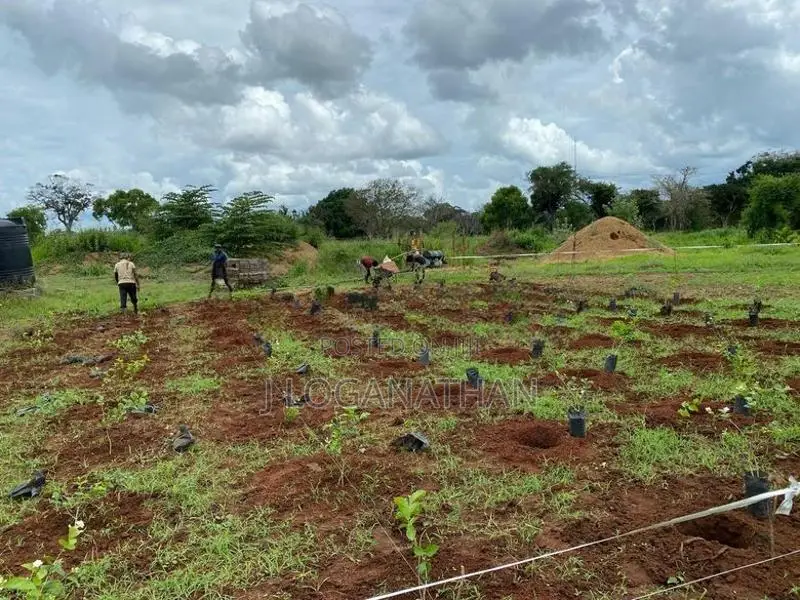 Land For Sale In Vavuniya