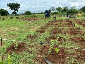 Land For Sale In Vavuniya