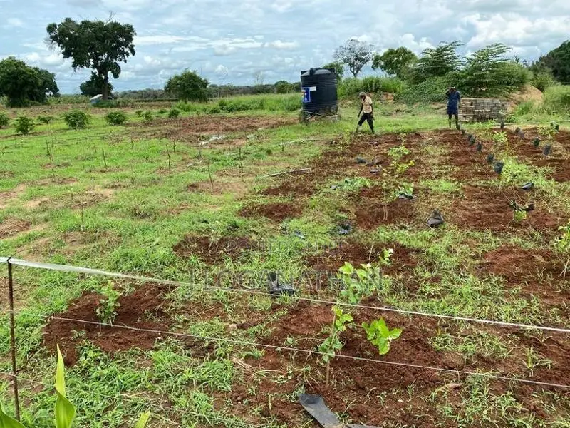 Land For Sale In Vavuniya