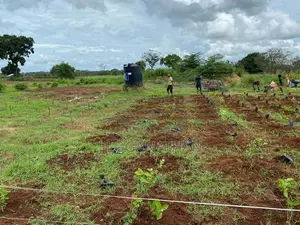 Land For Sale In Vavuniya