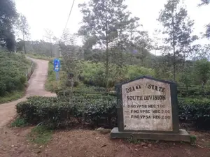 Land for Sale Nuwara Eliya Perttashi Road
