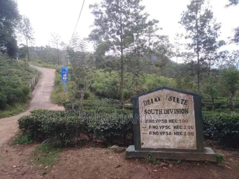 Land for Sale Nuwara Eliya Perttashi Road