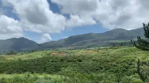 Land for Sale Nuwara Eliya Perttashi Road