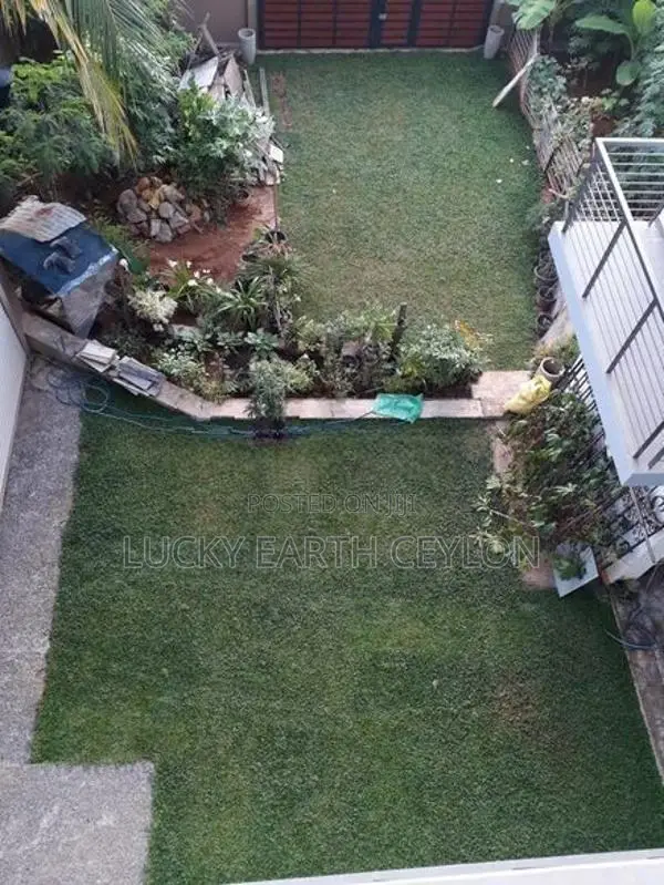 Nawala 1st&2nd Floor Large House Residence/Commercial- Rent (LEC578)