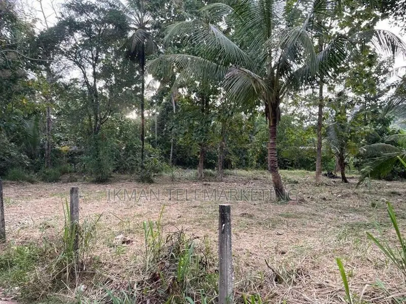 80 Perches of Land for Sale In Kurungeala Pothuhera