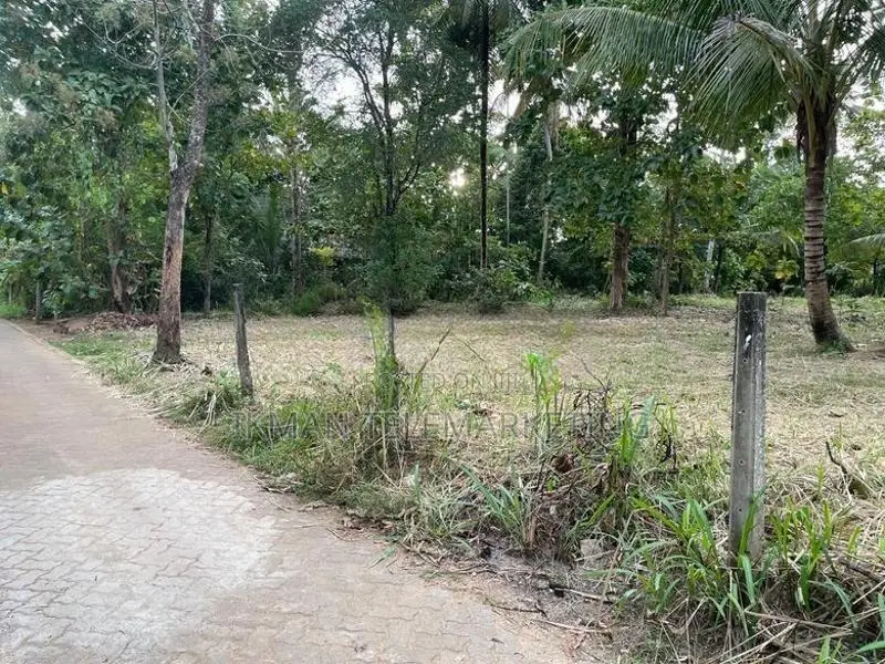 80 Perches of Land for Sale In Kurungeala Pothuhera