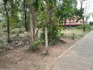 80 Perches of Land for Sale In Kurungeala Pothuhera