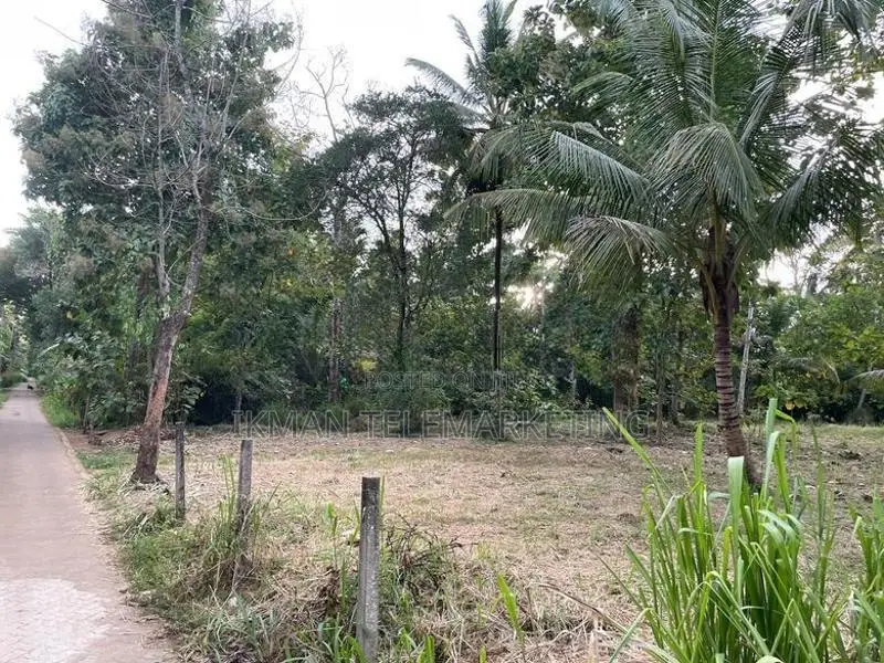 80 Perches of Land for Sale In Kurungeala Pothuhera