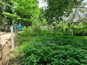 Land for sale in Miriswatta