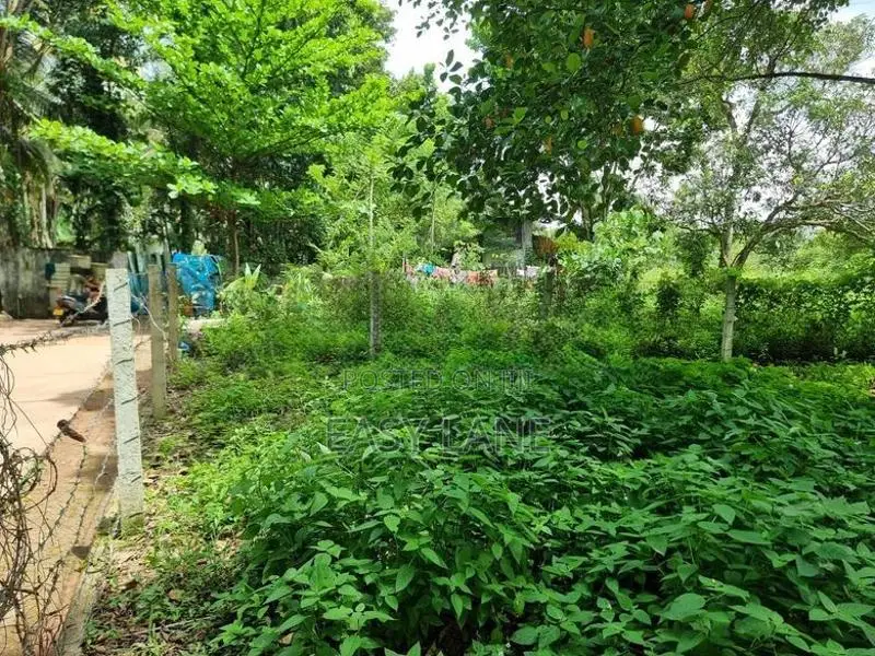 Land for sale in Miriswatta