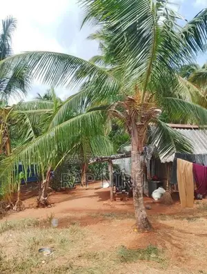 Land for Sale -Thandikulam Vavuniya