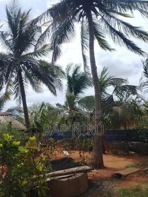 Land for Sale -Thandikulam Vavuniya