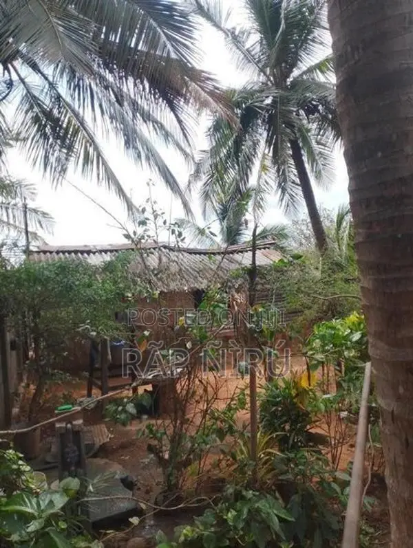 Land for Sale -Thandikulam Vavuniya
