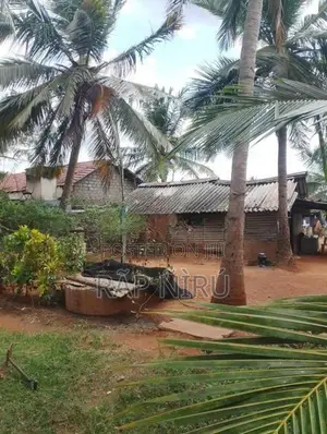 Land for Sale -Thandikulam Vavuniya