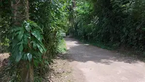 Land for sale in Yakkala