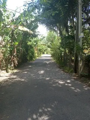 Ja Ela Land for Rent Batagama North
