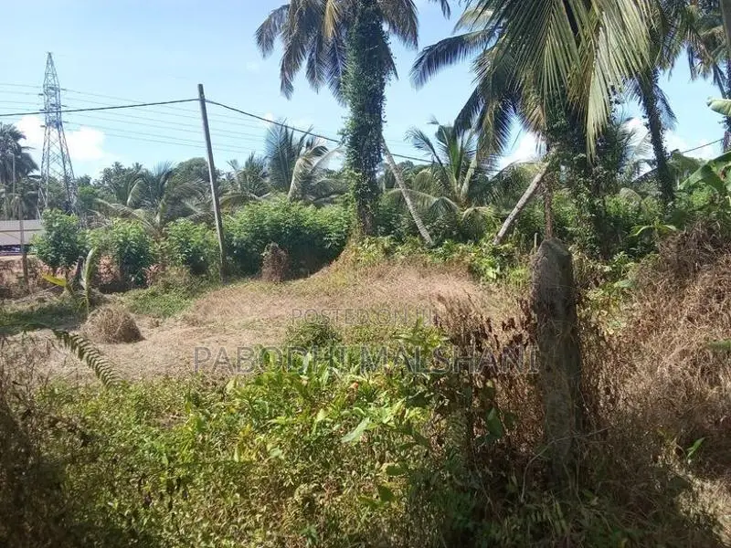 Ja Ela Land for Rent Batagama North