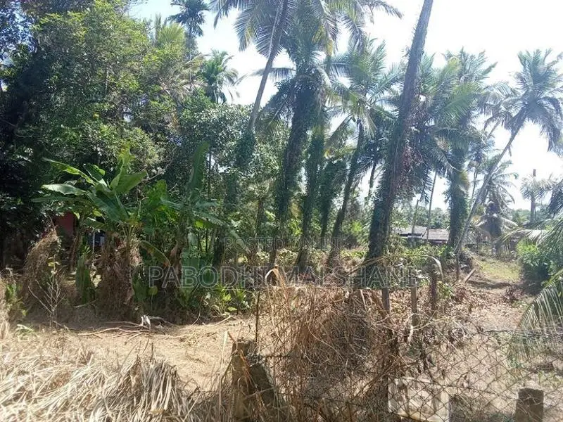 Ja Ela Land for Rent Batagama North