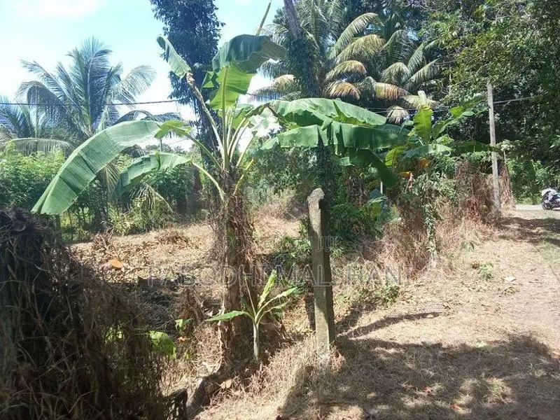 Ja Ela Land for Rent Batagama North