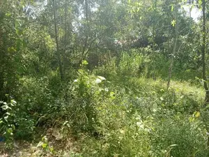 Ja ela Land For Rent Batagama