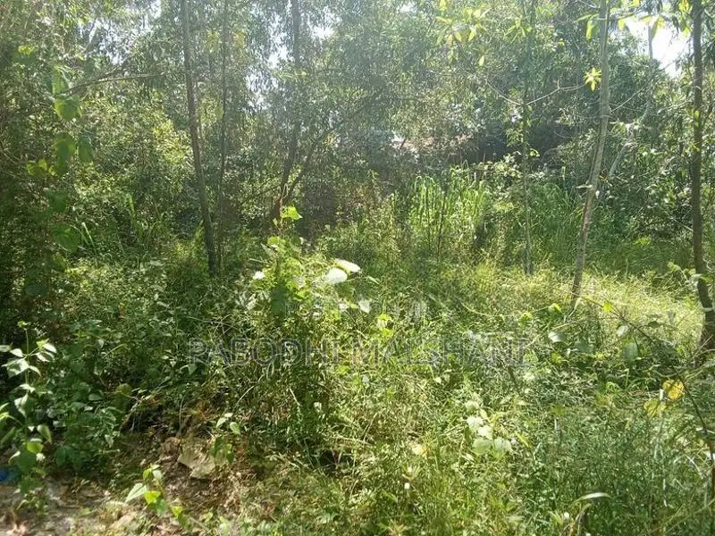 Ja ela Land For Rent Batagama