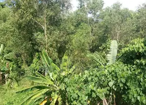Ja ela Land For Rent Batagama