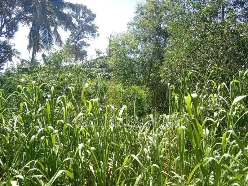 Ja ela Land For Rent Batagama