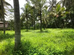 Land For Sale – Pamunuwila Road, Kiribathgoda Makola