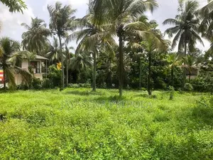 Land For Sale – Pamunuwila Road, Kiribathgoda Makola