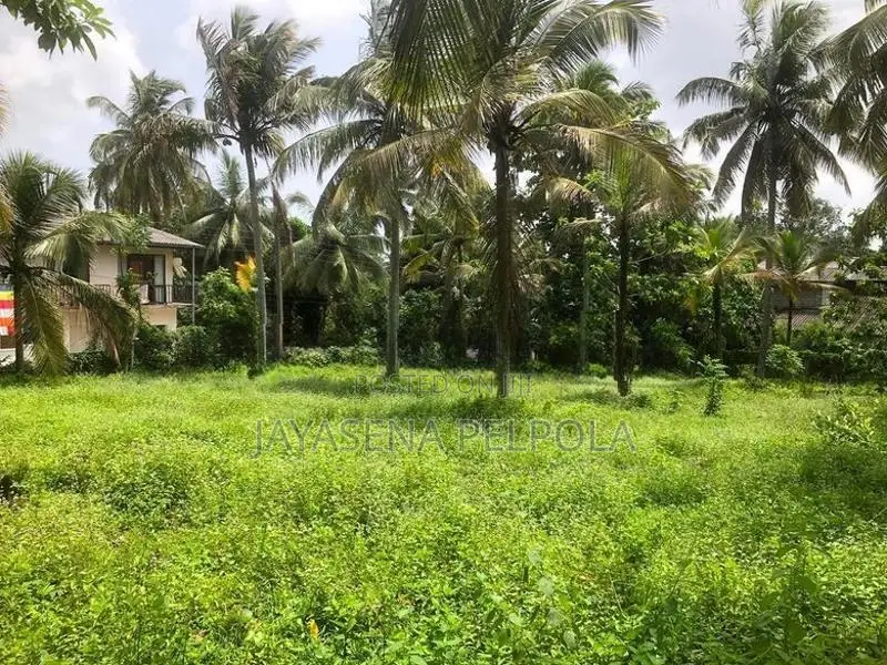 Land For Sale – Pamunuwila Road, Kiribathgoda Makola