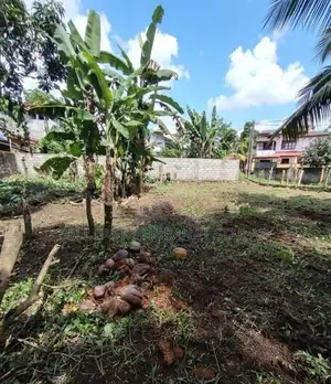 හොරණින් පදිංචියටම සකස් කල සුපිරි බිම් කොටසක් වහාම විකිණීමට