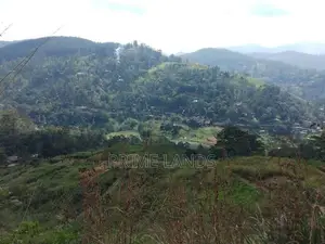 Land for sale in Bandarawela