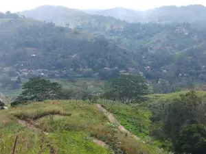 Land for sale in Bandarawela
