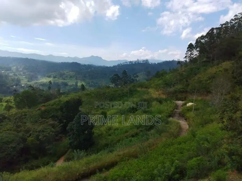 Land for sale in Bandarawela