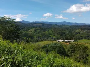 Land for sale in Bandarawela