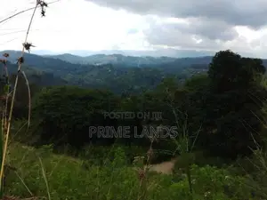 Land for sale in Bandarawela
