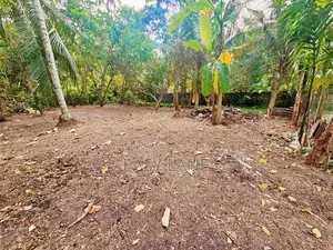 ගම්පහ - මාකෙවිට අගනා නේවාසික ඉඩමක් ඉක්මනින් විකිණීමට