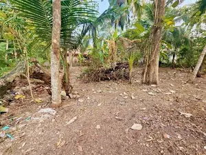 ගම්පහ - මාකෙවිට අගනා නේවාසික ඉඩමක් ඉක්මනින් විකිණීමට