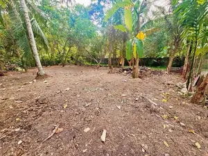 ගම්පහ - මාකෙවිට අගනා නේවාසික ඉඩමක් ඉක්මනින් විකිණීමට