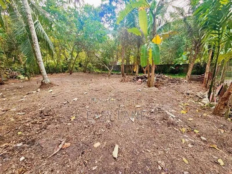 ගම්පහ - මාකෙවිට අගනා නේවාසික ඉඩමක් ඉක්මනින් විකිණීමට