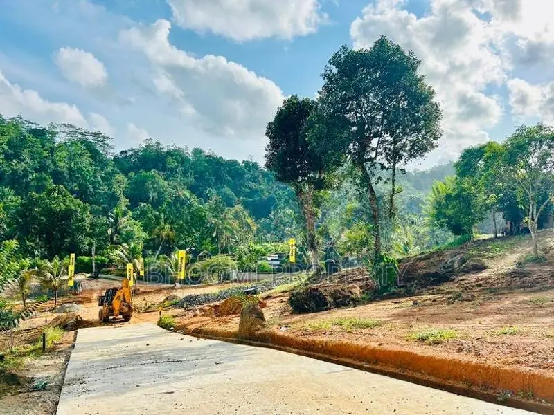 උඩුගම පාර ජයන්ති හංදියෙන් අගනා බිම් කොටස්