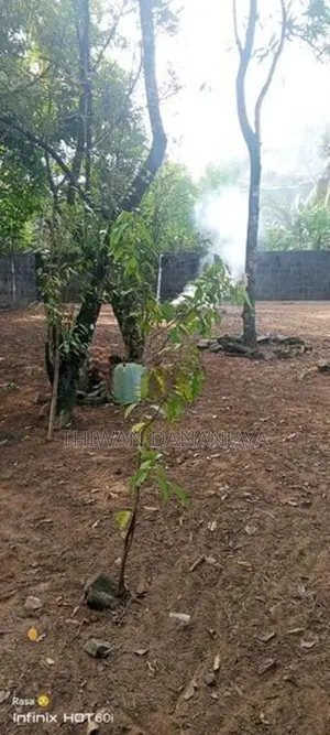 හරි හතරැස් ඉඩමක් විකිණීමට පොකුණුවිට