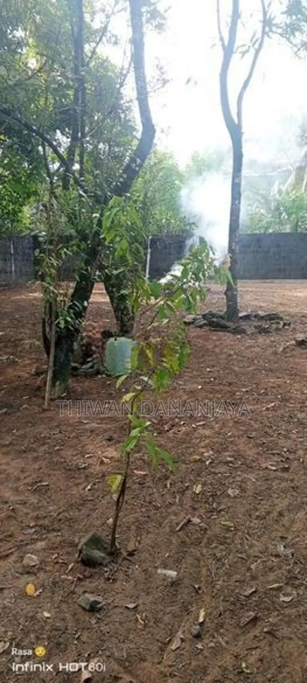 හරි හතරැස් ඉඩමක් විකිණීමට පොකුණුවිට