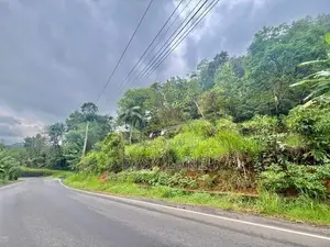 ගිණිගත්හේනෙන් කොළඹ ප්‍රධාන පාරට මුහුණලා අගනා ඉඩමක් විකිණීමට
