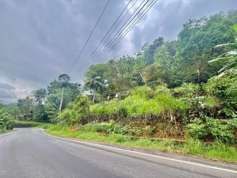 ගිණිගත්හේනෙන් කොළඹ ප්‍රධාන පාරට මුහුණලා අගනා ඉඩමක් විකිණීමට