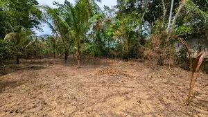 ඌරාපොල – බෝපැත්තෙන් වටිනා බිම් කොටසක් වහාම විකිණීමට